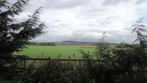 airfield converted to agricultural use 
